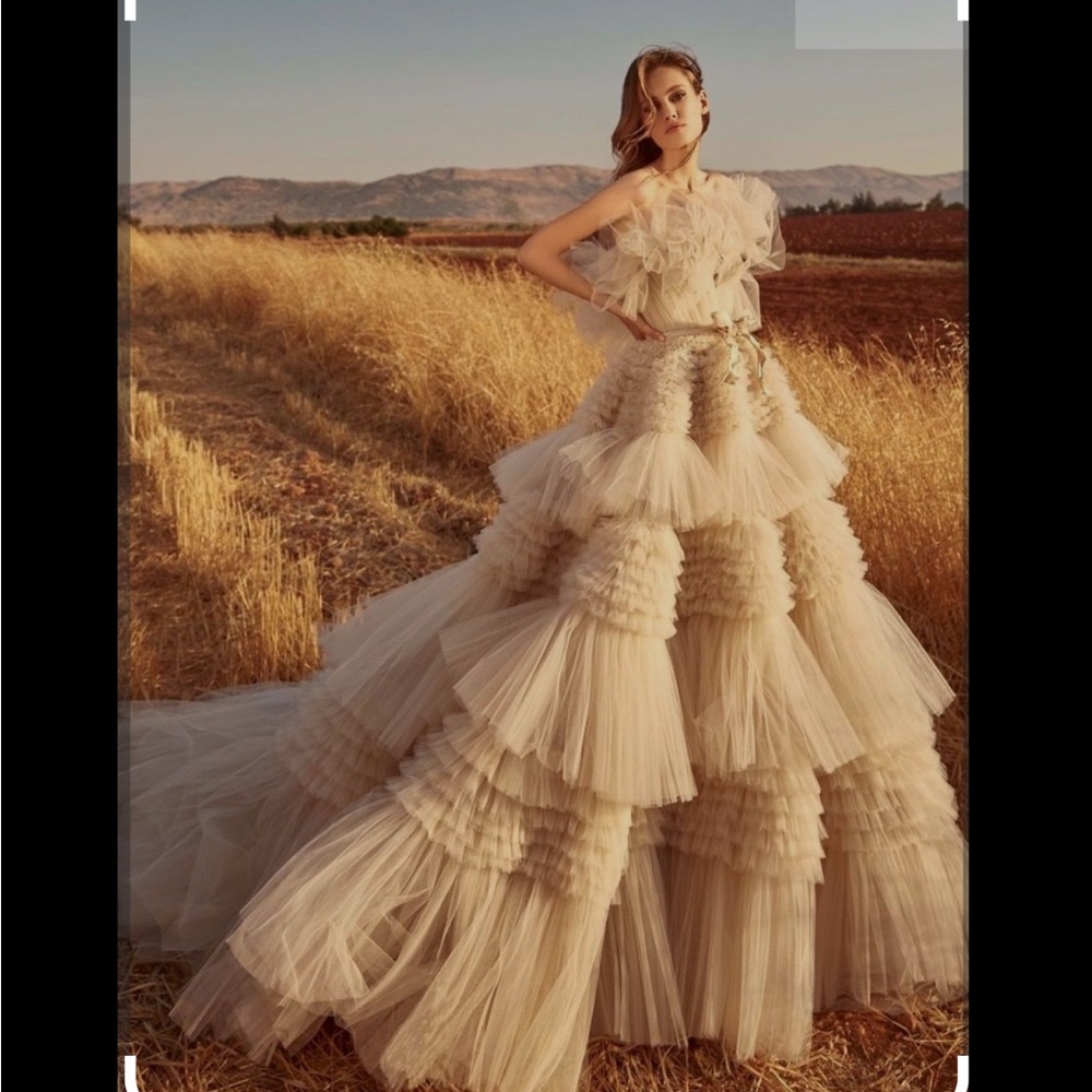 Elegant Cream Tulle Gown

Zuhair MuradRuffled Tulle Wedding Dress Size 8 - Picture 11 of 16